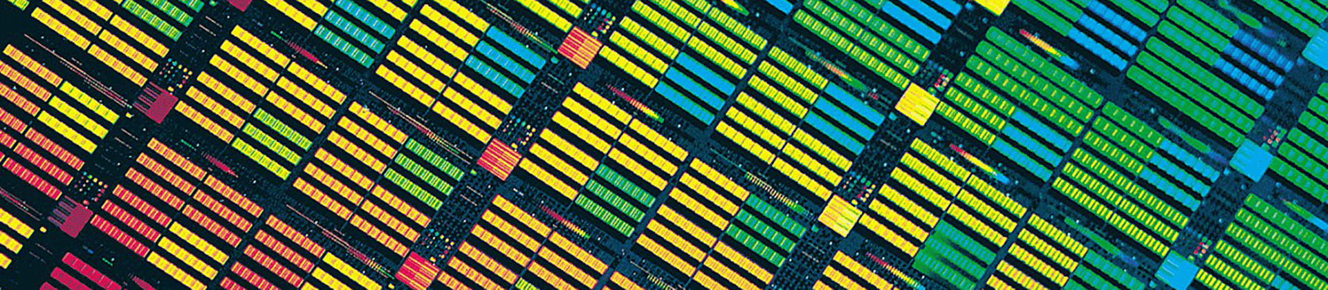 GA黄金甲·(中国区)官方网站