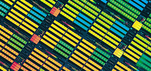 GA黄金甲·(中国区)官方网站